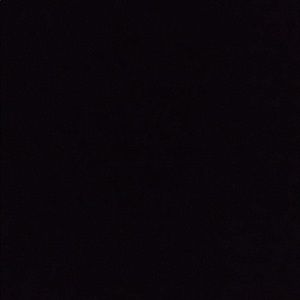 Meet your Posher, Gisele